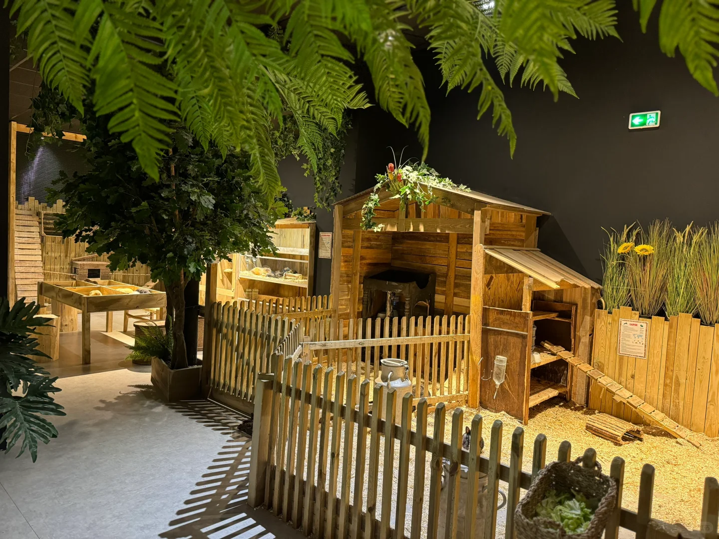 Noah's World: The Mysterious Kid-Friendly Oasis in Paris' 16th Arrondissement