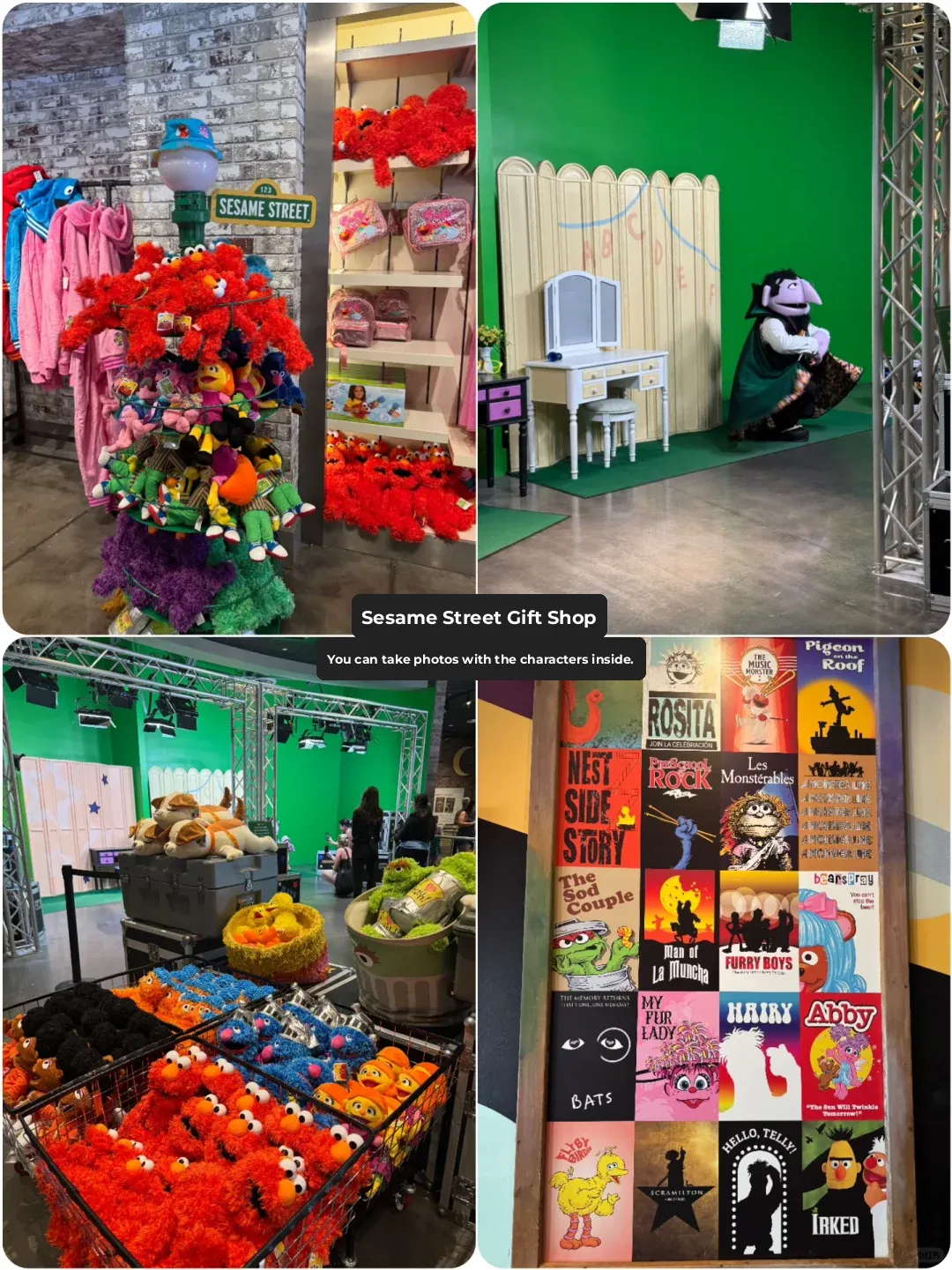 🇺🇸 Orlando SeaWorld | Roller Coasters, Shows, and Travel Guide