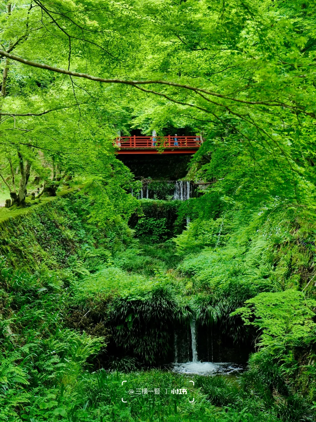 🇯🇵 Already looking forward to Kyoto's "fresh green" next month! 🍃