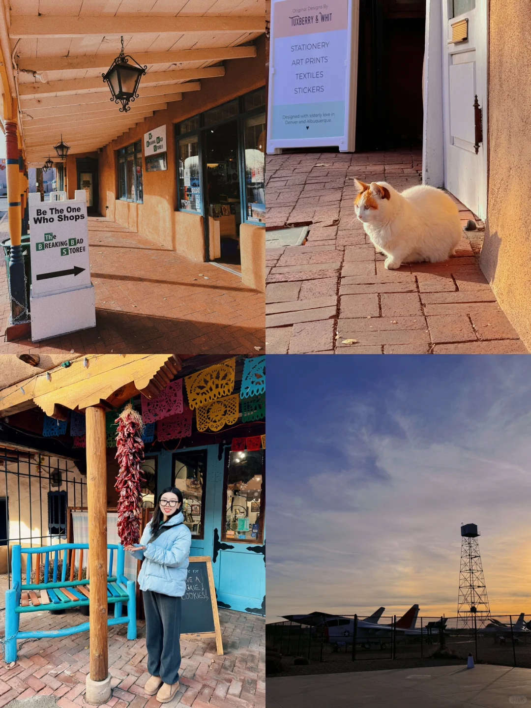 New Mexico 🌶️ What Else Can You Do in ABQ Besides Breaking Bad?