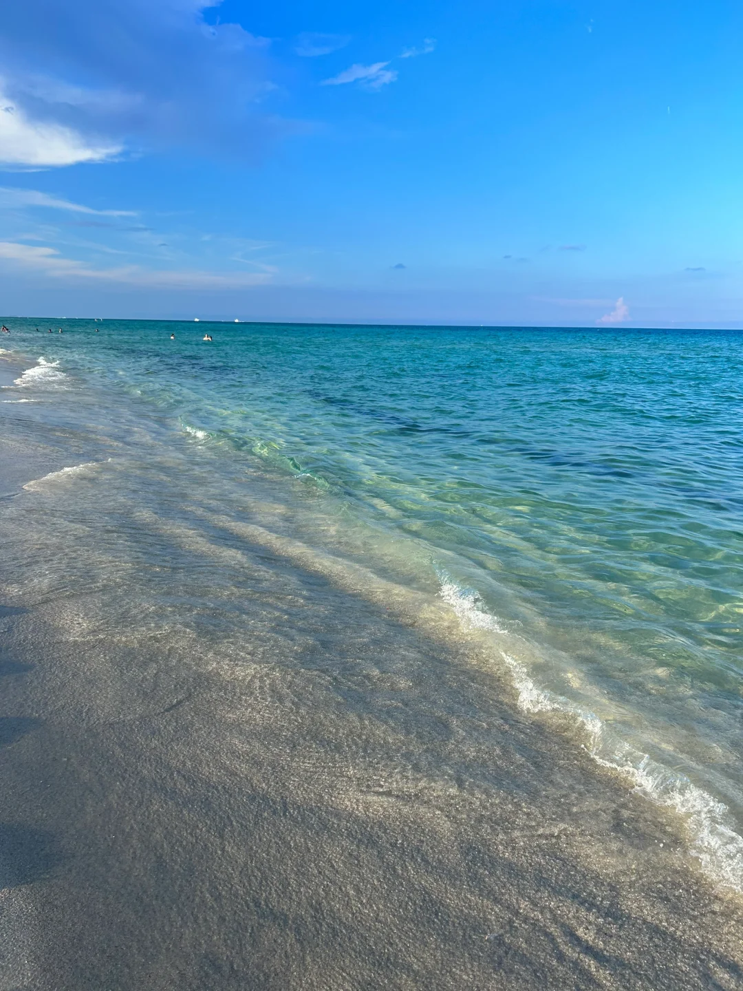 Recommended Dog-Friendly Beaches in Miami