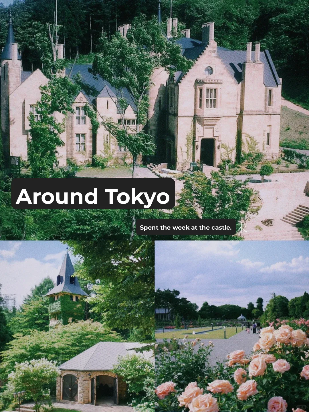 Ultra-Niche! This Japanese Castle Was Imported from Europe 👻