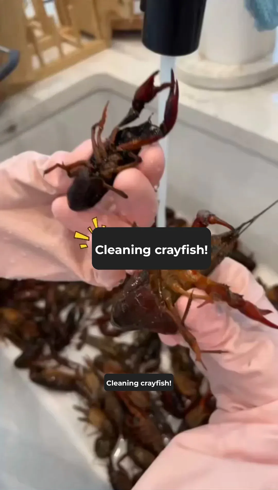 Dallas Hidden Gem: Flavorful Crawfish—A Feast for the Senses