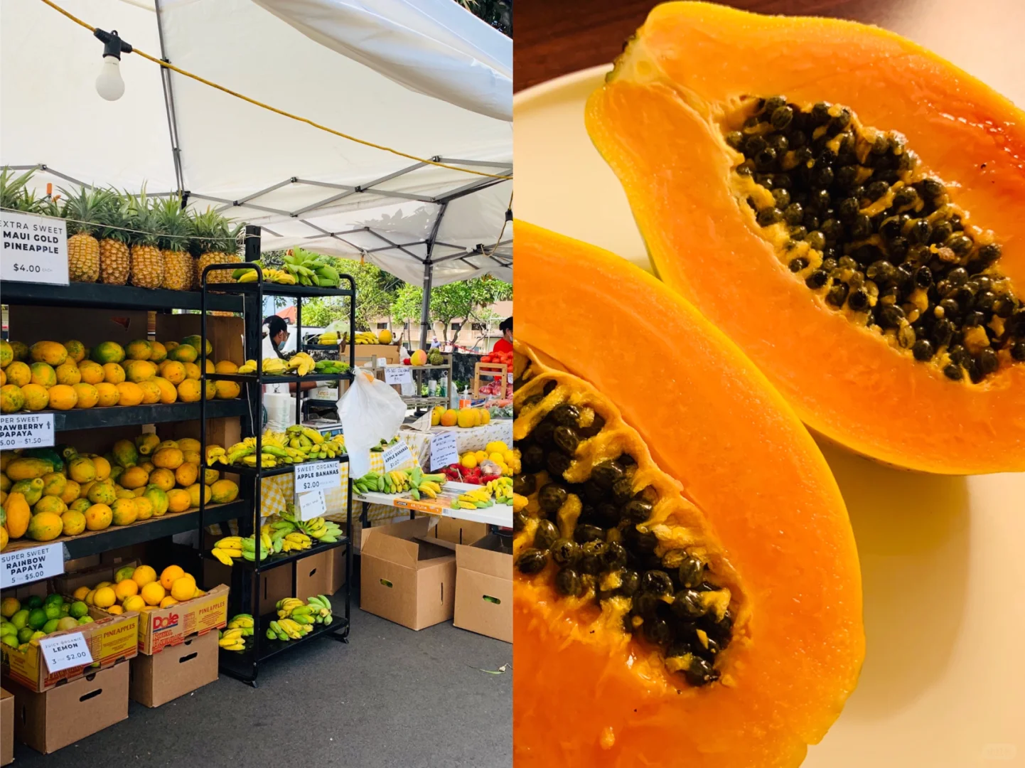 Hawaii | Big Island Foodie Adventure