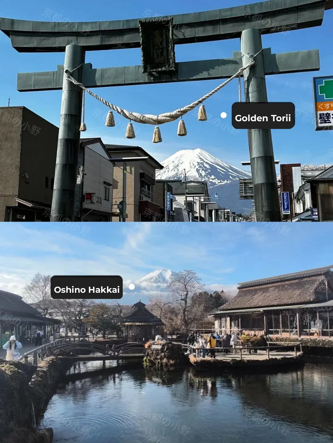 🗻 This One-Day Fuji Tour is Absolutely Epic! 🚨 Save It! ✅