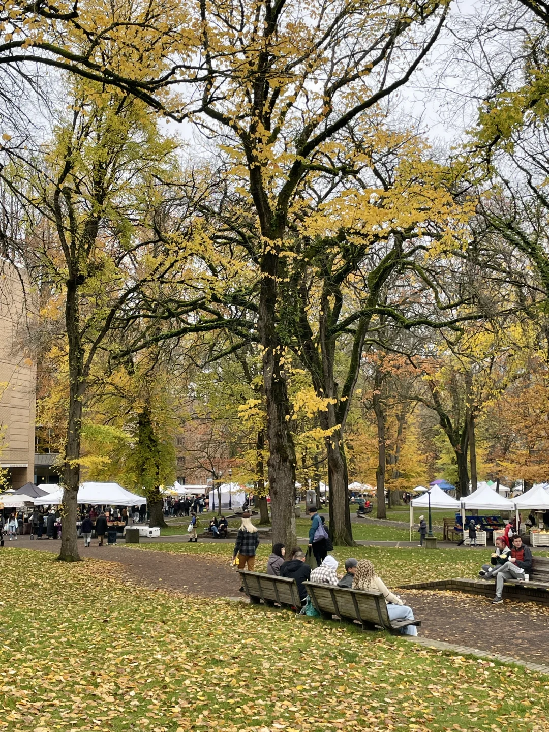 Portland City Walk | From PSU Farmers Market to Cafés
