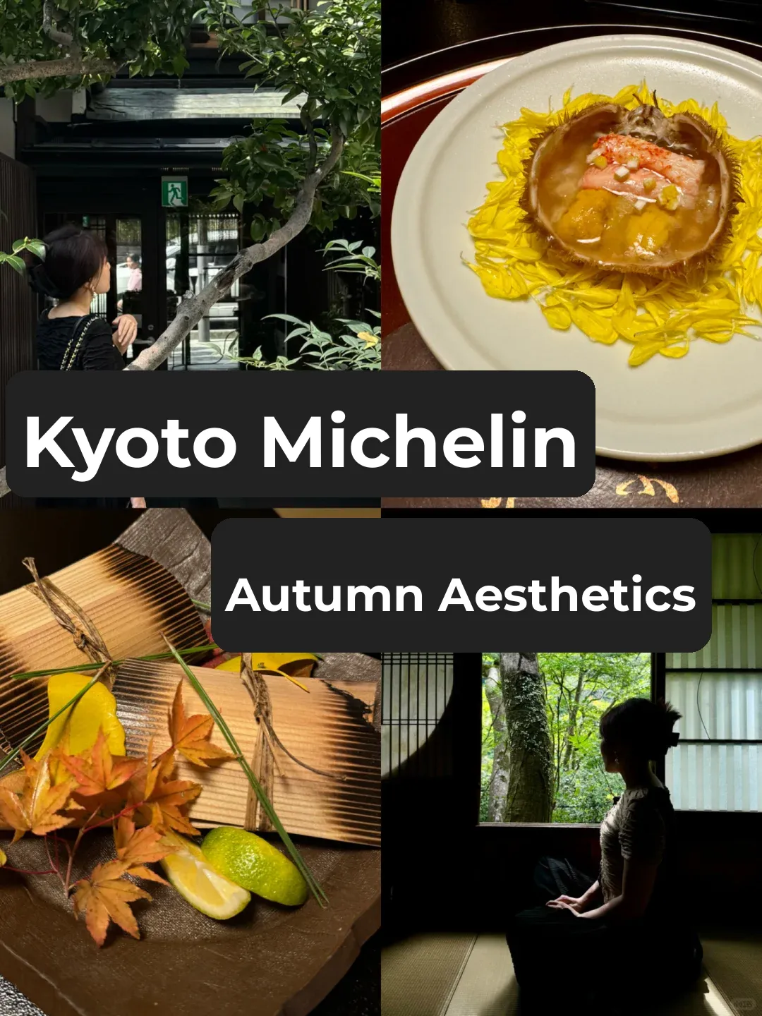 Don't Miss These Kaiseki Culinary Masterpieces in Kyoto This Autumn 🍁