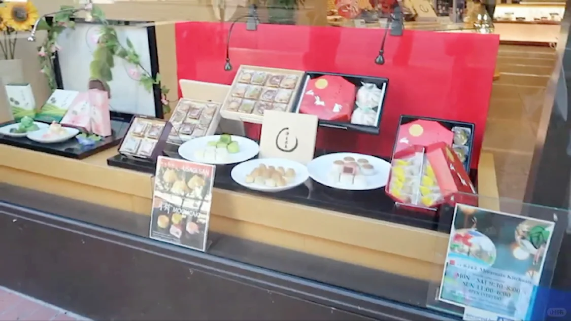 San Francisco Travel Vlog Part 5/5