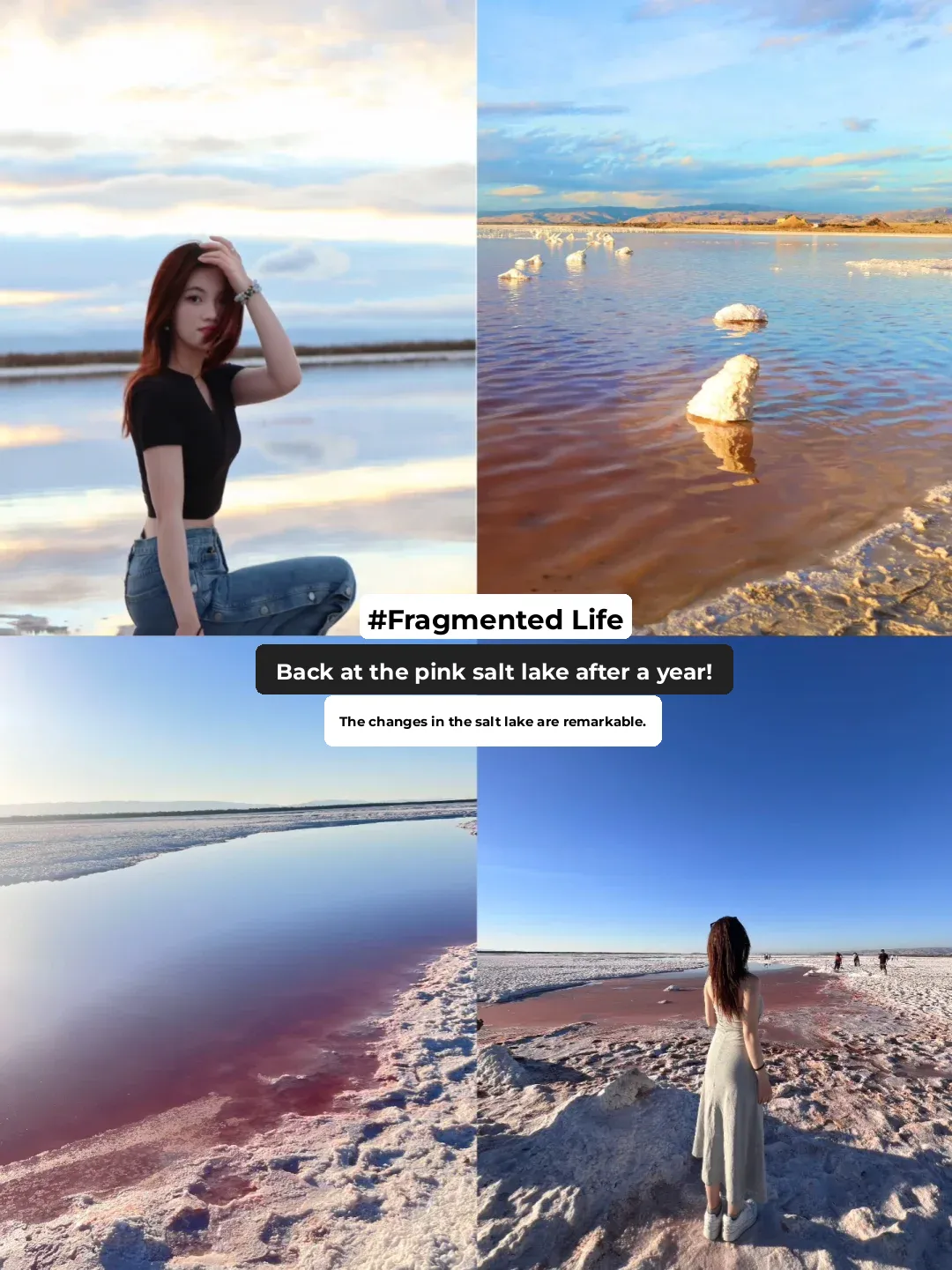 San Jose 💕 Please, I beg you, stop coming to the Bay Area's pink salt lake!!!