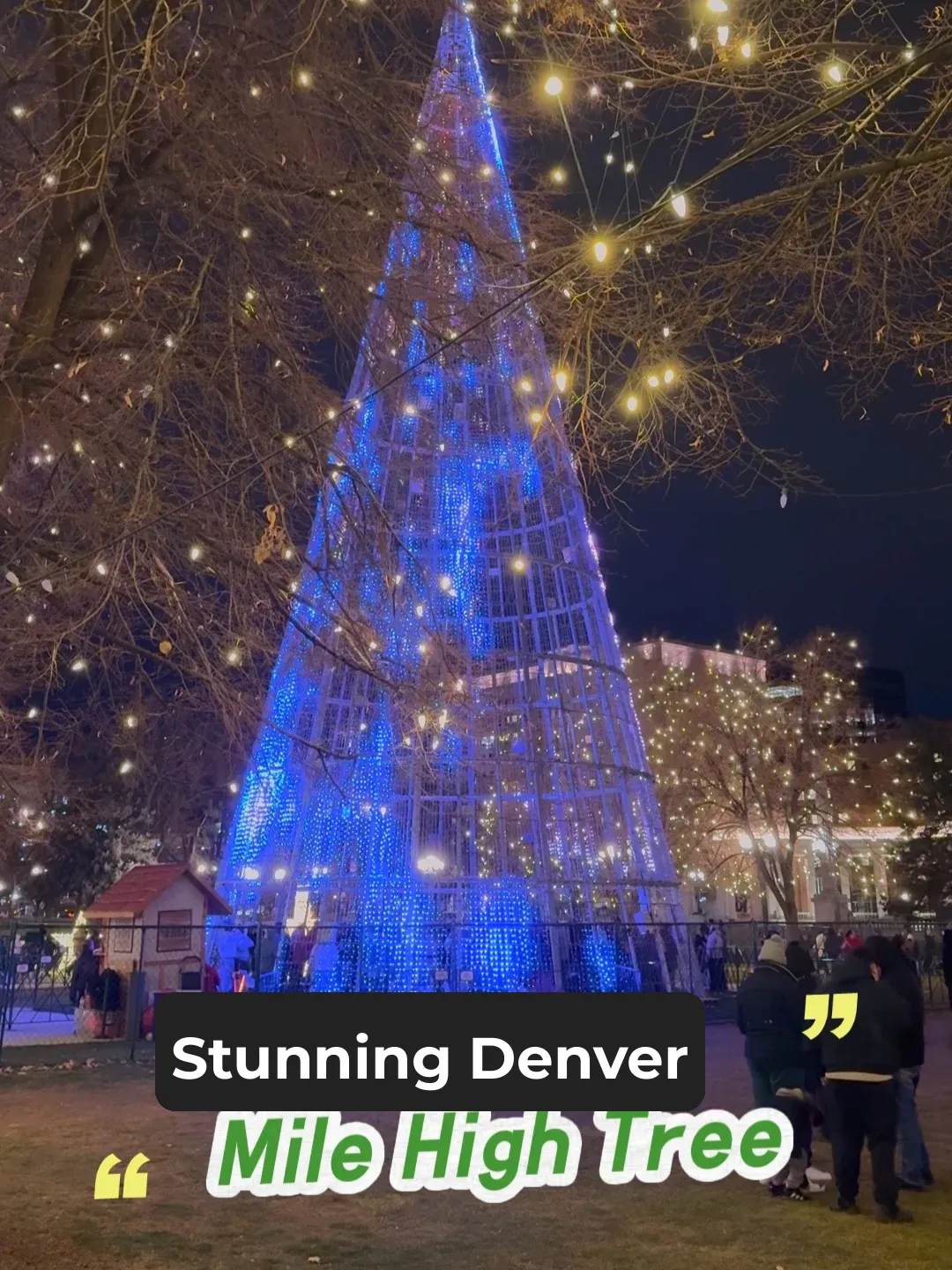 A Quick Note on the Mile High Tree in Denver