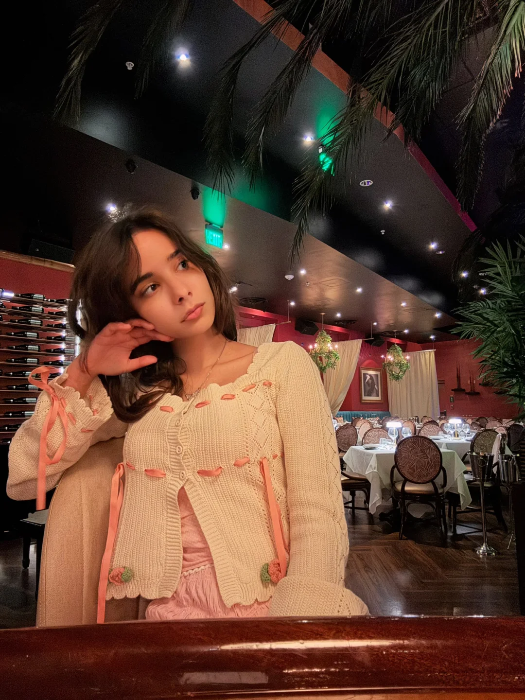 Last Night’s Dinner