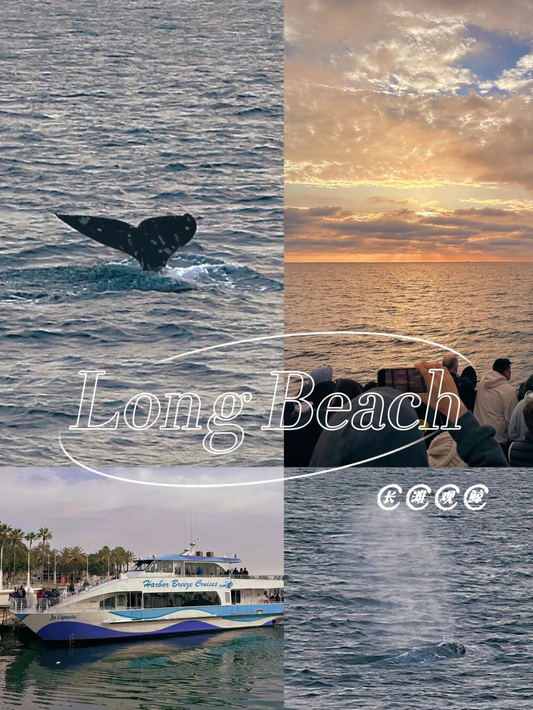 5-Day Los Angeles Trip in Late December｜Day 2