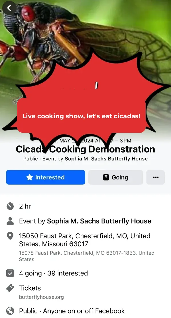 Cicada Invasion Hits Missouri Botanical Garden: They're Urging Everyone to Eat Them!