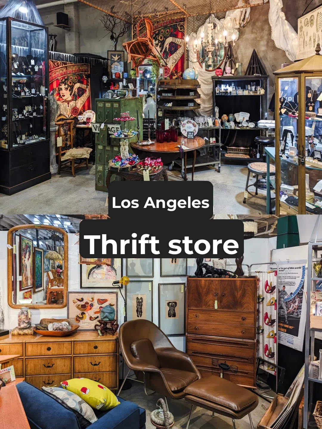 Los Angeles | Must-Visit Vintage Stores for Antique Enthusiasts 📺