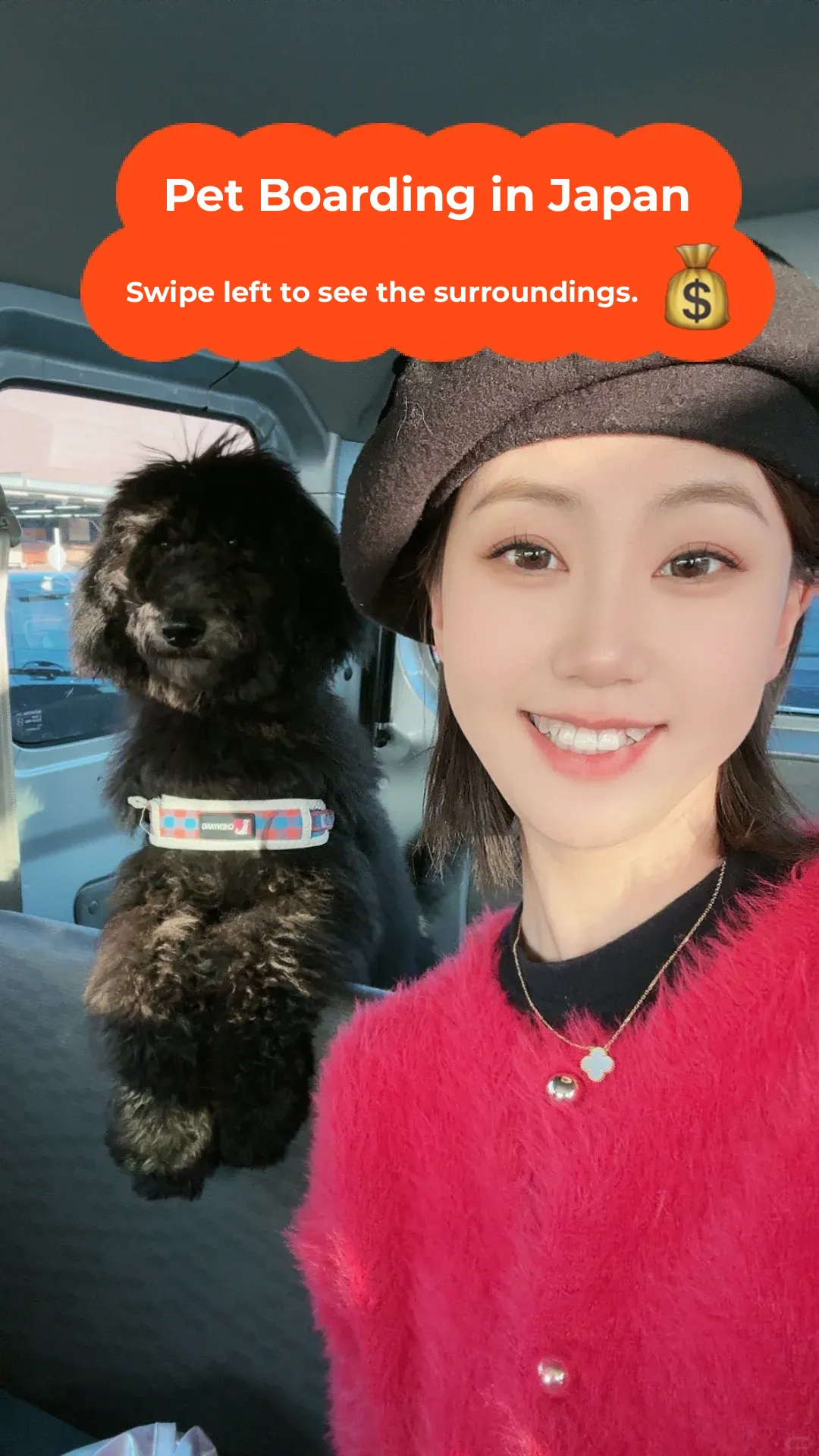 Japan Pet Hotel Spring Festival 🈳️ Available for Booking