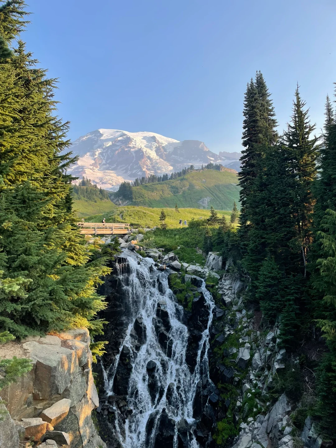🏔️Who Can Resist the Beauty of Mt. Rainier?!