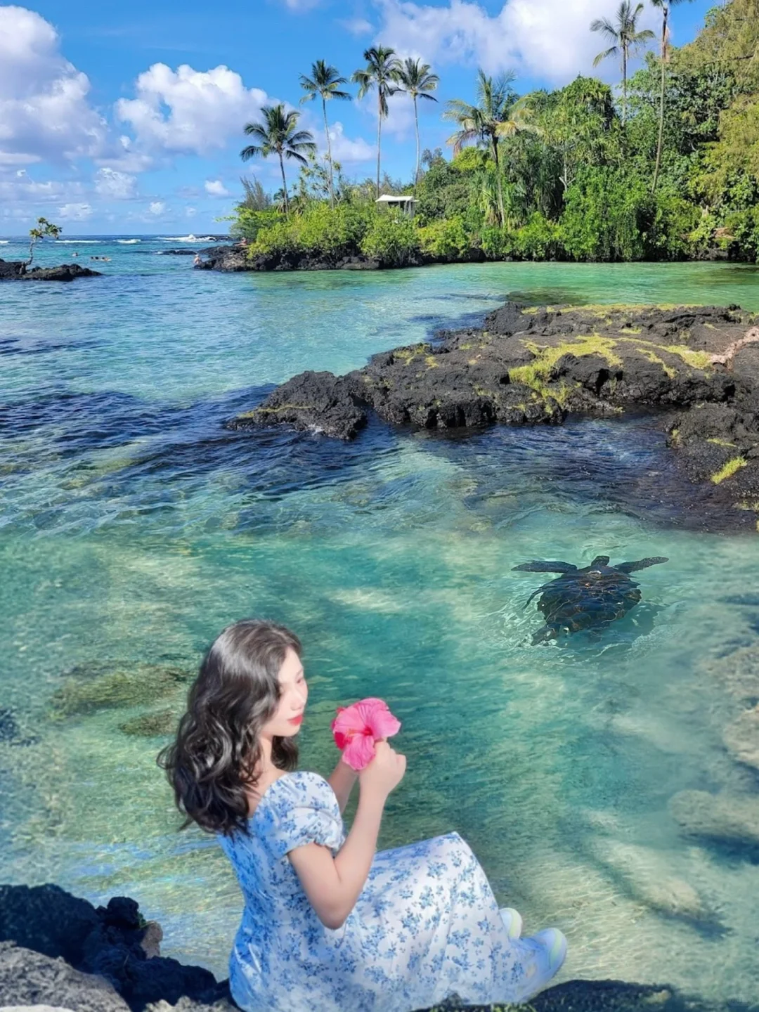 Spring Travel Diary｜Hawaii’s Big Island is Unreal! Swim with Sea Turtles Straight Out of a Painting