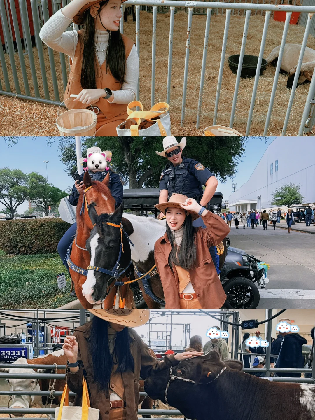 Houston Rodeo🤠 Ending This Week—Hurry and Check It Out!