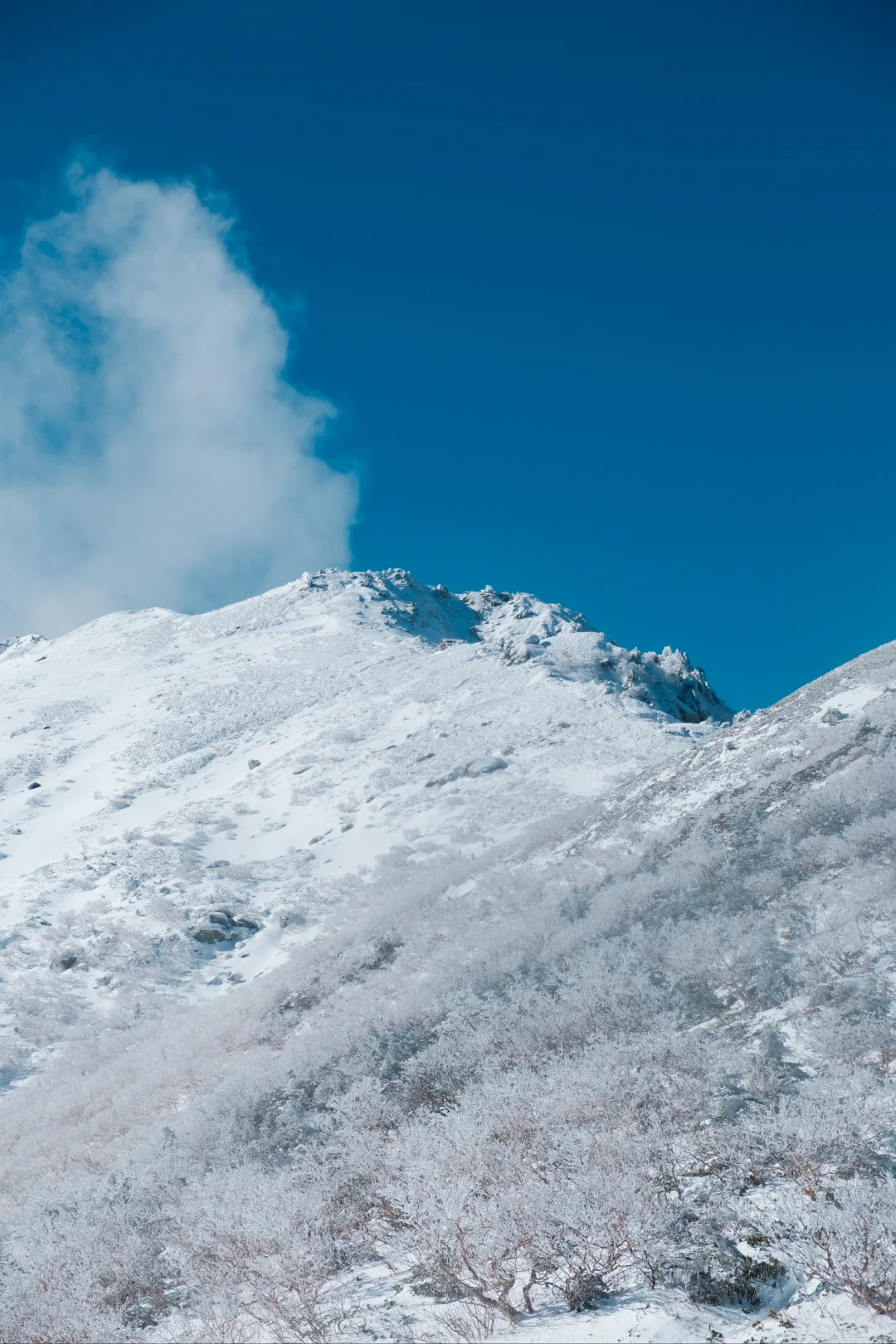 Day Trip to Karamatsu-dake