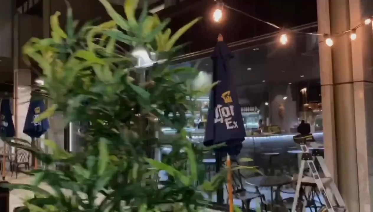 Qu Japan Bistro & Bar Reopening