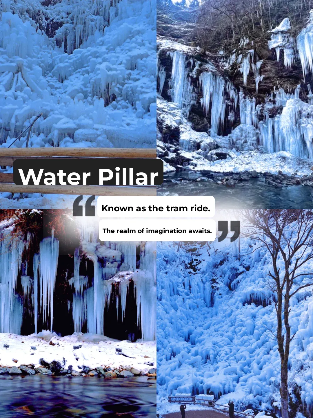 Tokyo Vicinity / 1000 Yen Unlimited Rail Pass to the Snowy Wonderland