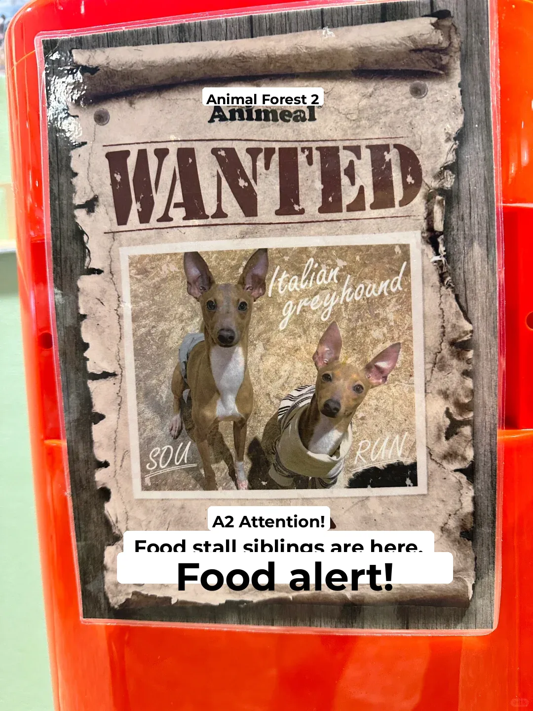 Tokyo's Soaring Heatwave? Head to Odaiba's Animal Café to Keep the Kiddos Entertained!