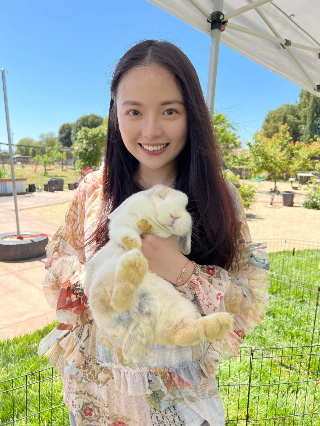 Bay Area Getaway | Gilroy's Ultra-Healing Animal Farm 🐰🦙