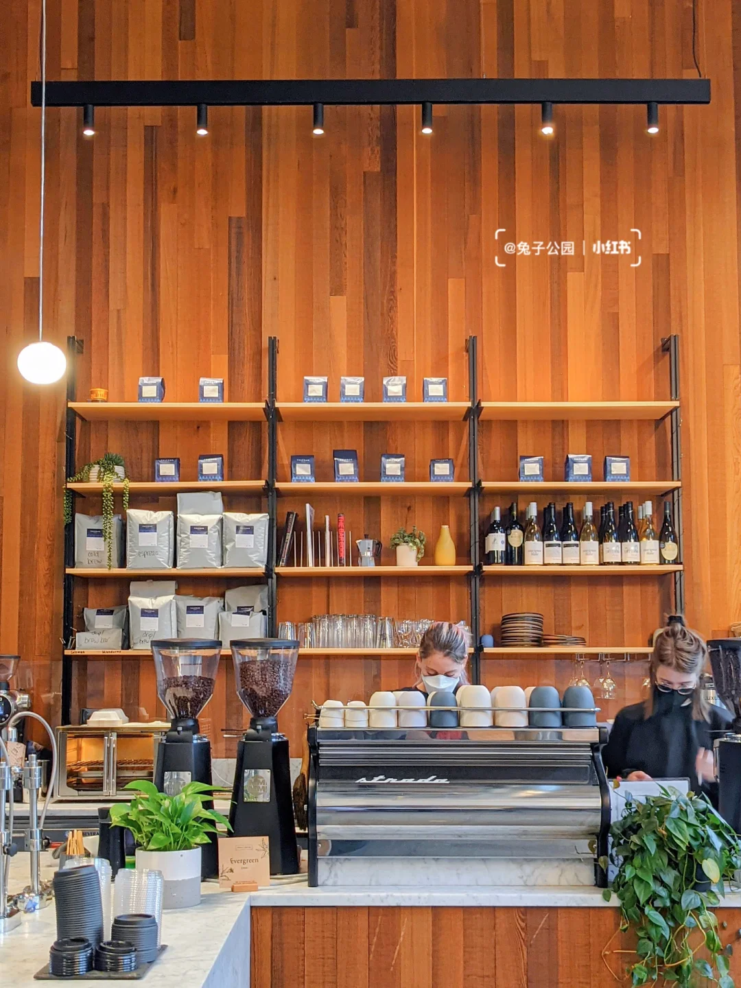 Good Morning, Seattle | This Coffee is Truly Exceptional