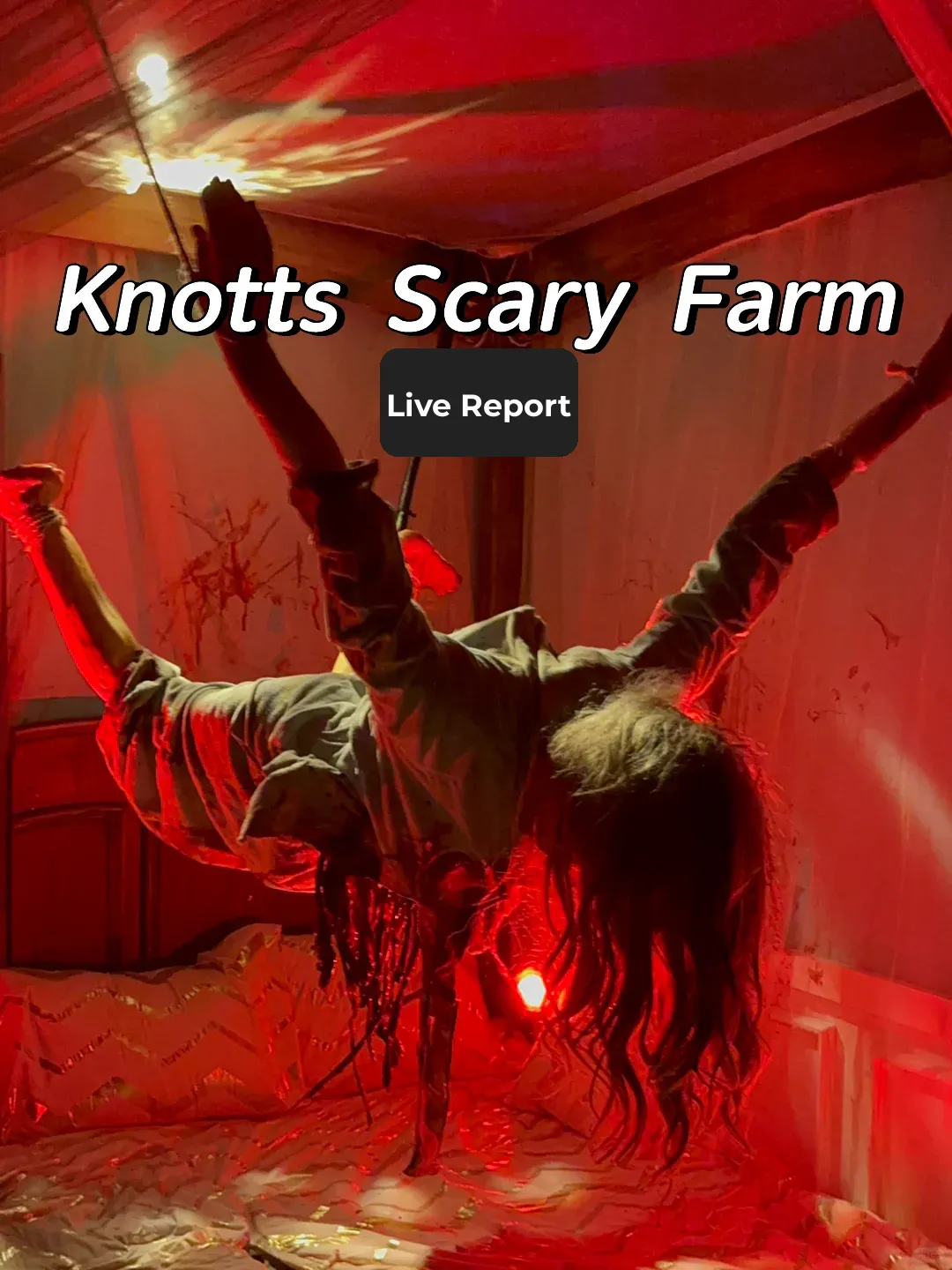 Out Partying with Ghosts | A Night at Knott's Scary Farm