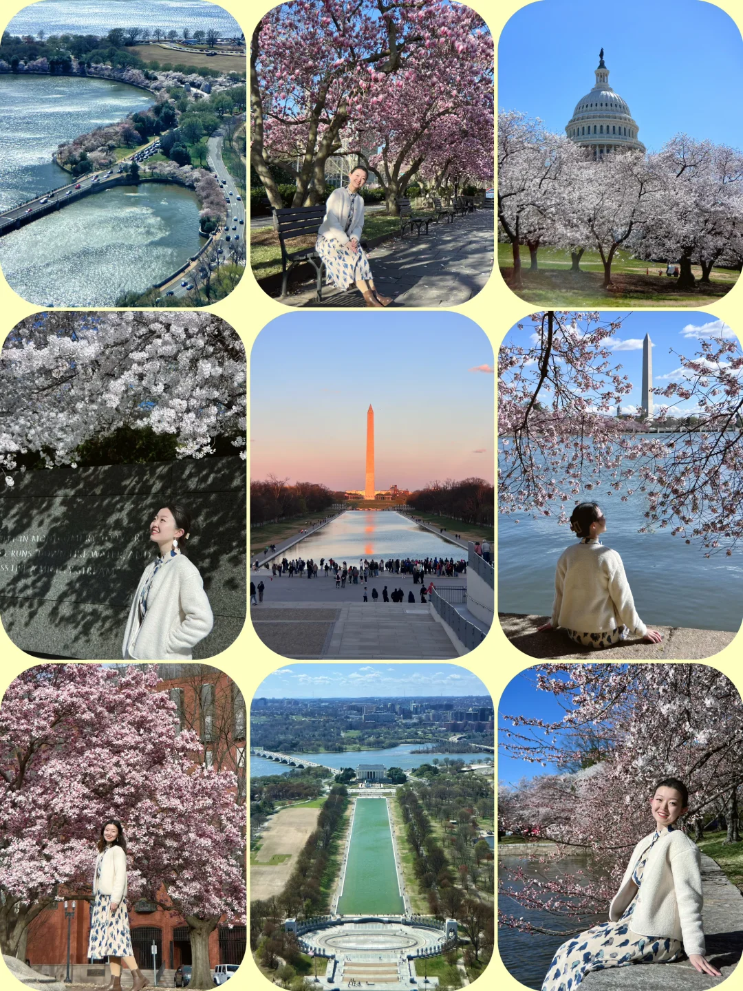 Breaking News from Washington's Cherry Blossom Front❗️ Plus Photo Spots & Foodie Itinerary Guide
