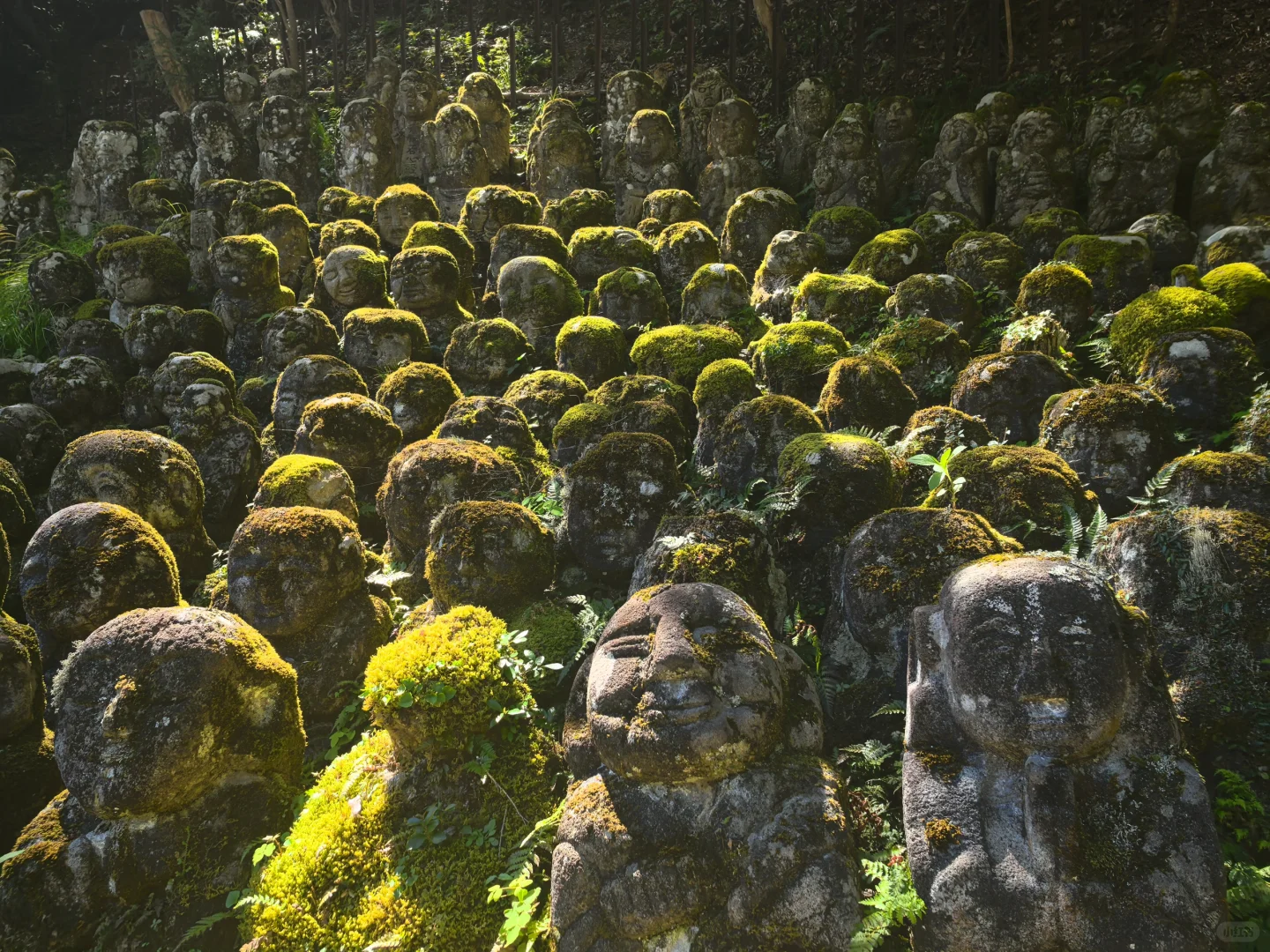 🇯🇵 Kyoto Day Trip Itinerary