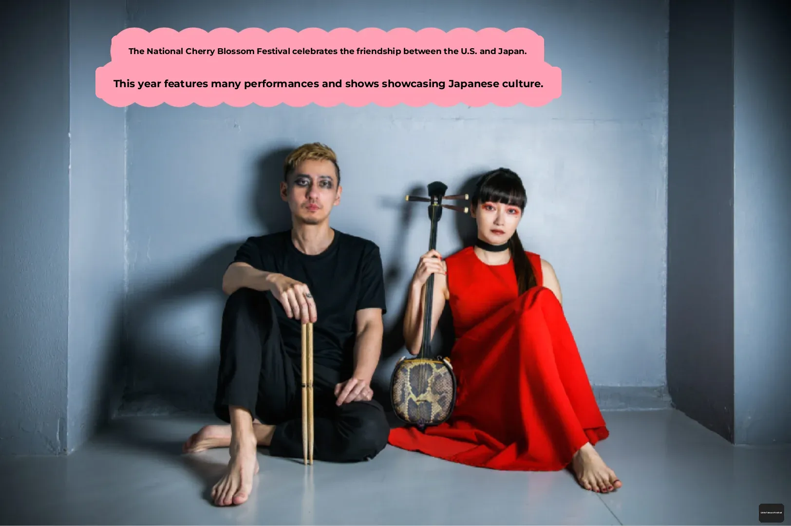 Spring it On! Frontline Report from the Washington D.C. Cherry Blossom Festival!