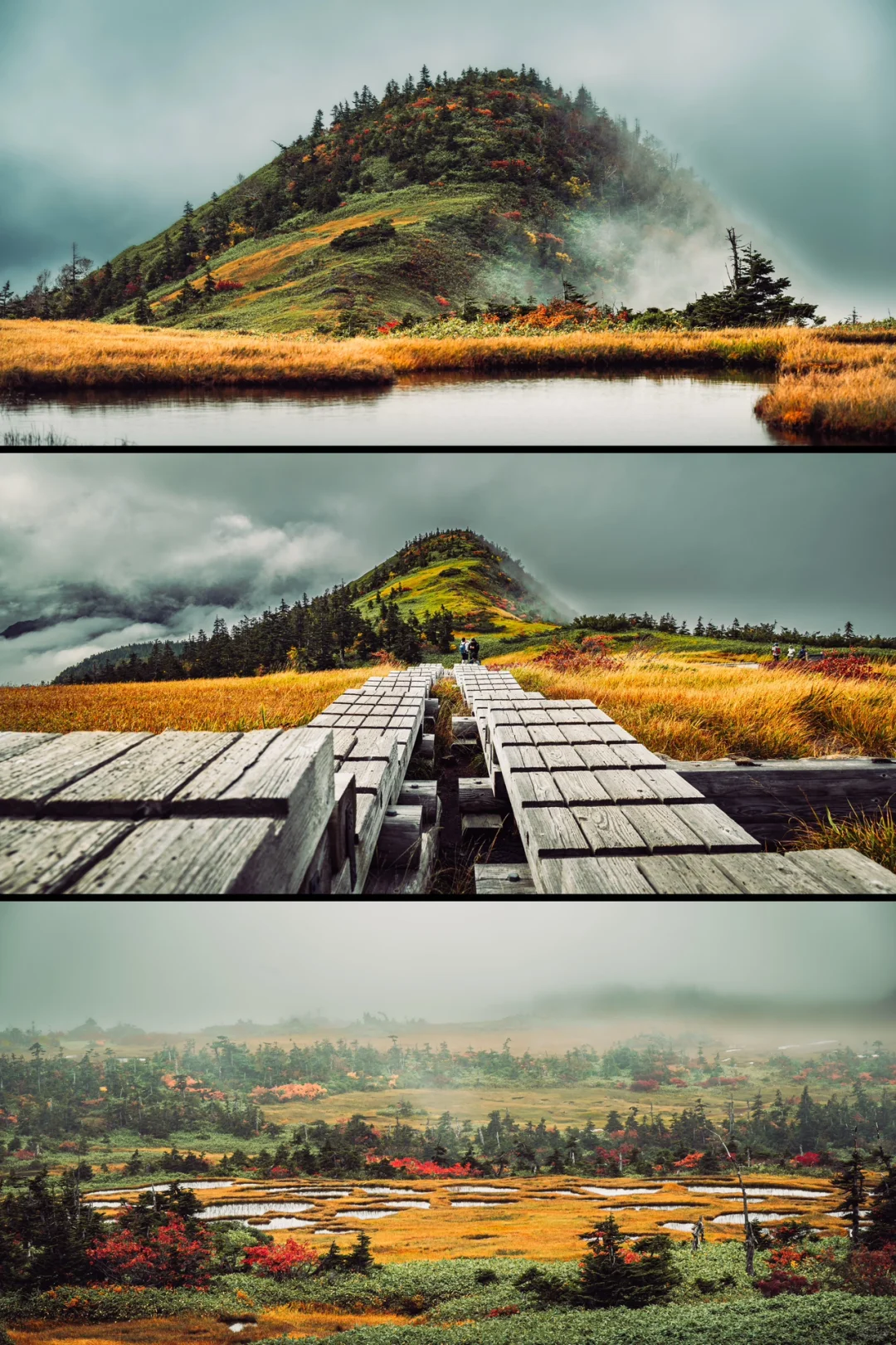 Day Trip to Tokyo | Naegi Mountain Autumn Foliage, Peak Season at the Summit - Perfect for Beginners