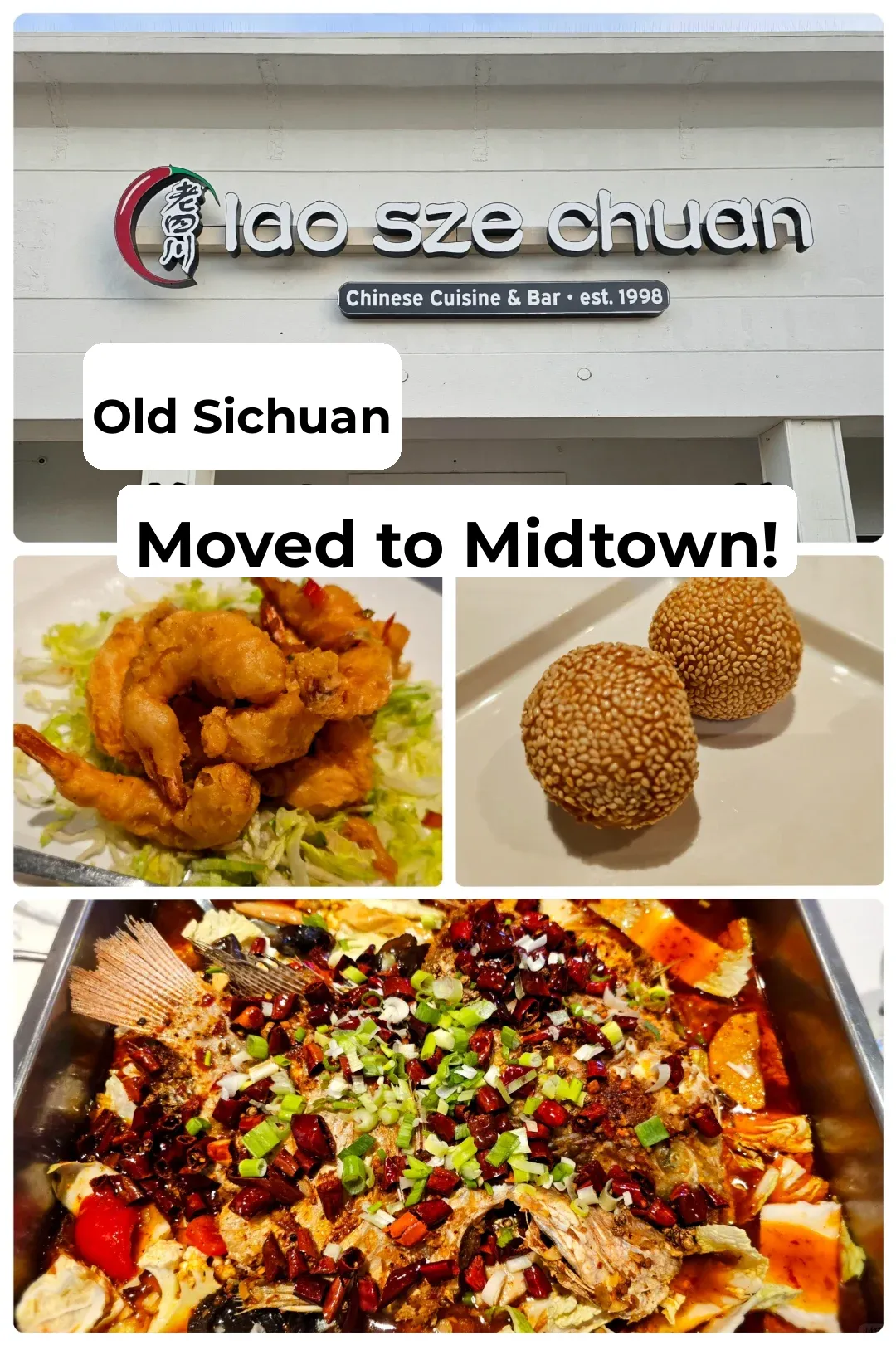 Houston Food Adventure: Old Sichuan