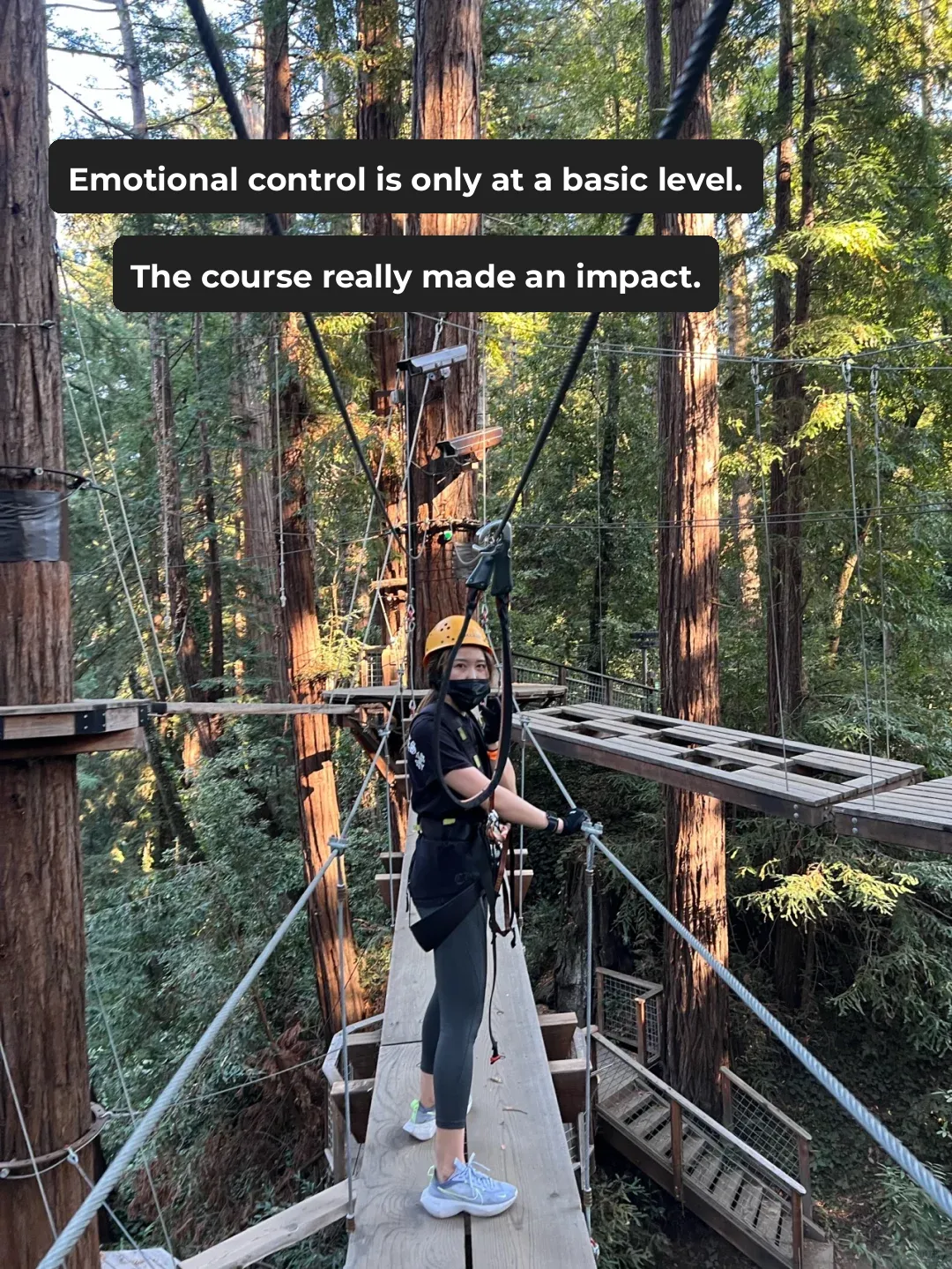 Santa Cruz | Treetop + Zipline Jungle Adventure