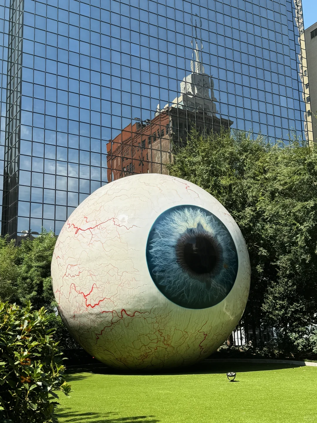 One-Day Adventure in Downtown Dallas!