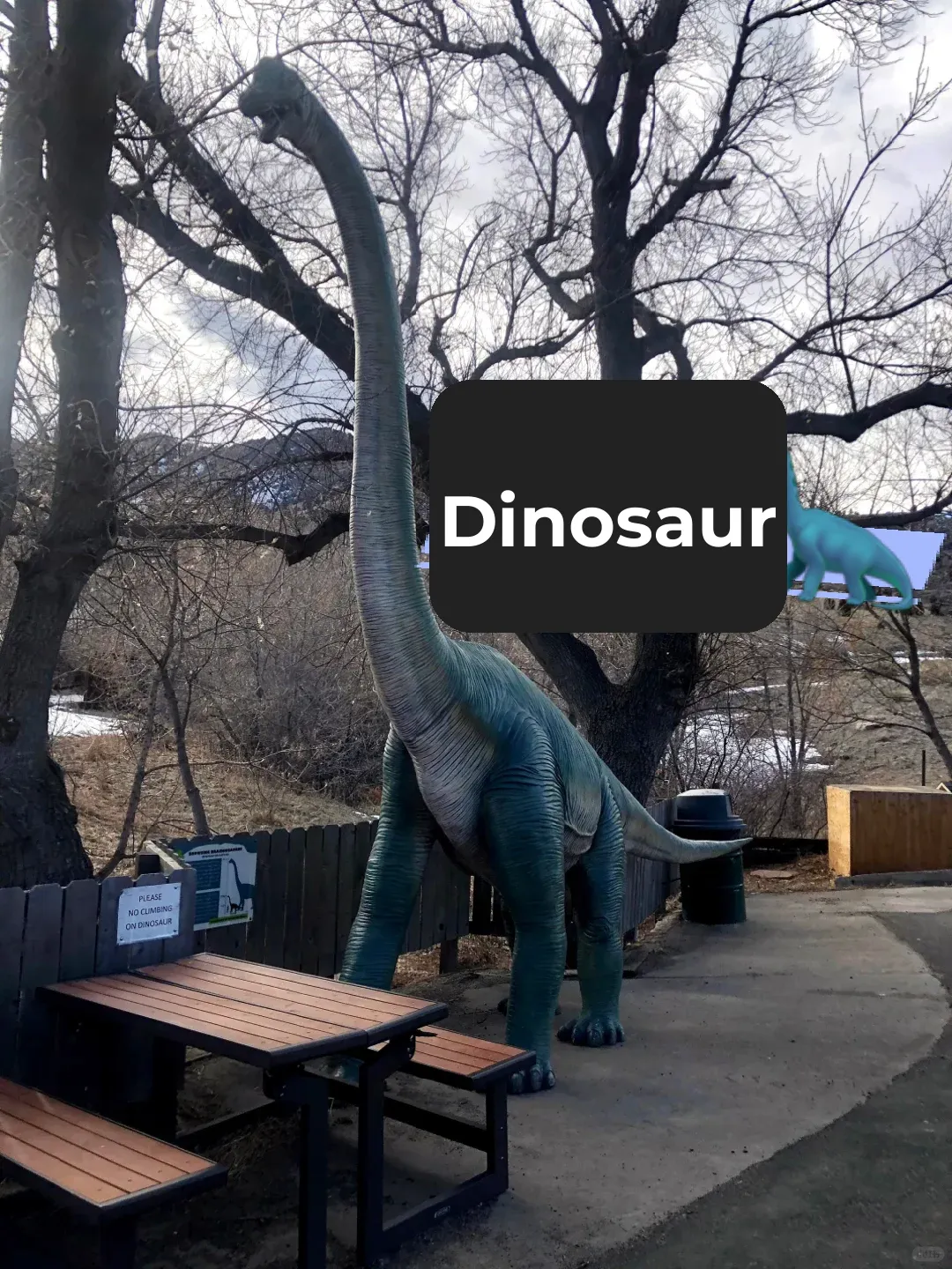 Unearth Ancient Giants! Explore Denver’s Dinosaur Fossils!
