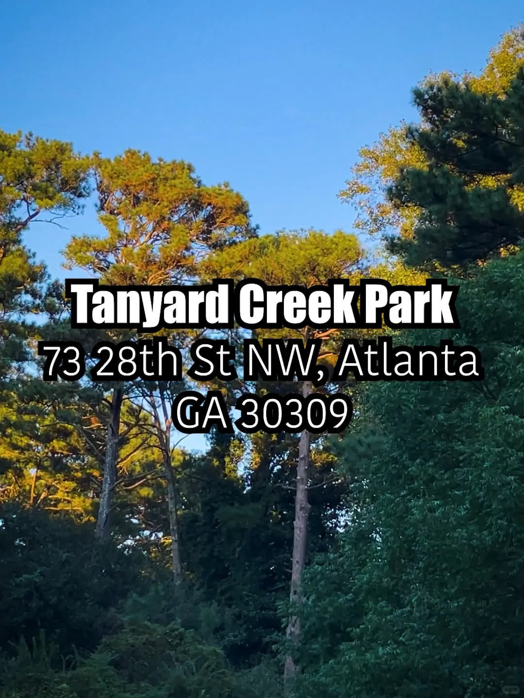 Atlanta | Let’s Go for a Stroll Together 🚶🏻