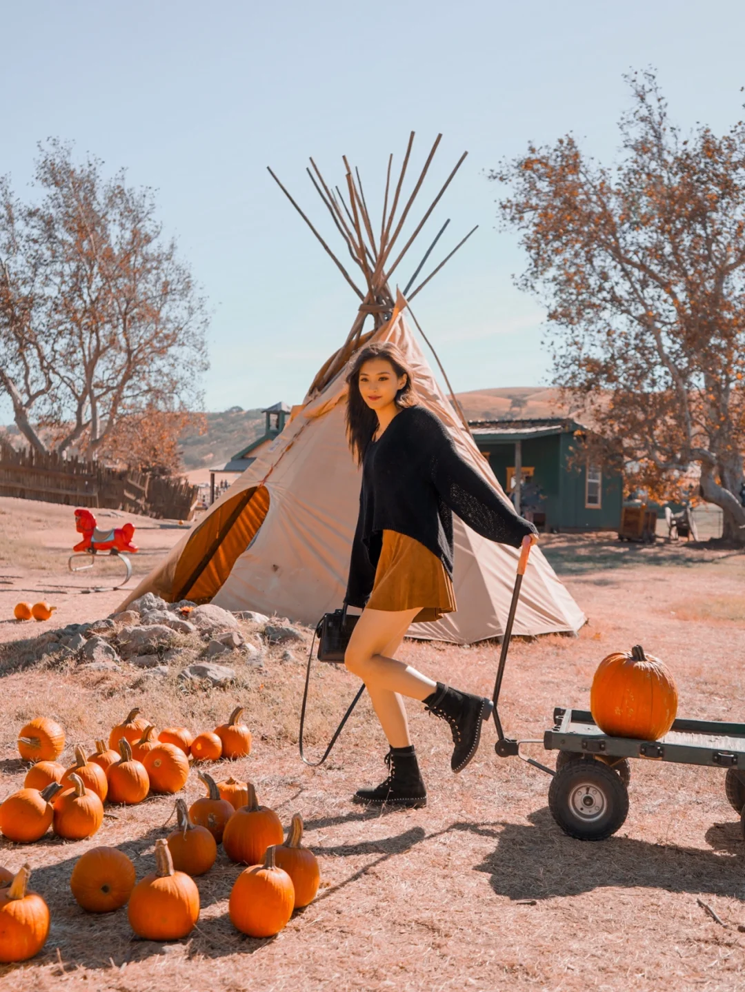Bay Area Pumpkin Patches Roundup | Must-Visit Spots for Halloween and Fall