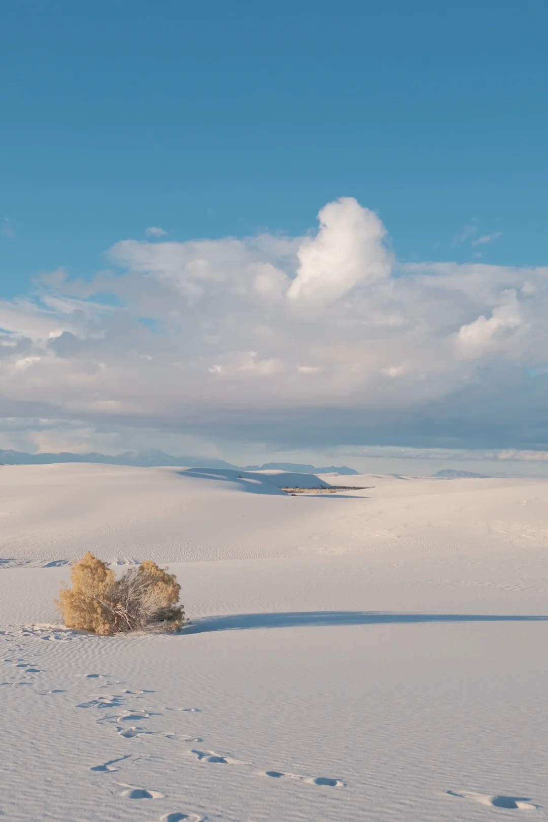 4-Day, 3-Night Road Trip Itinerary in New Mexico