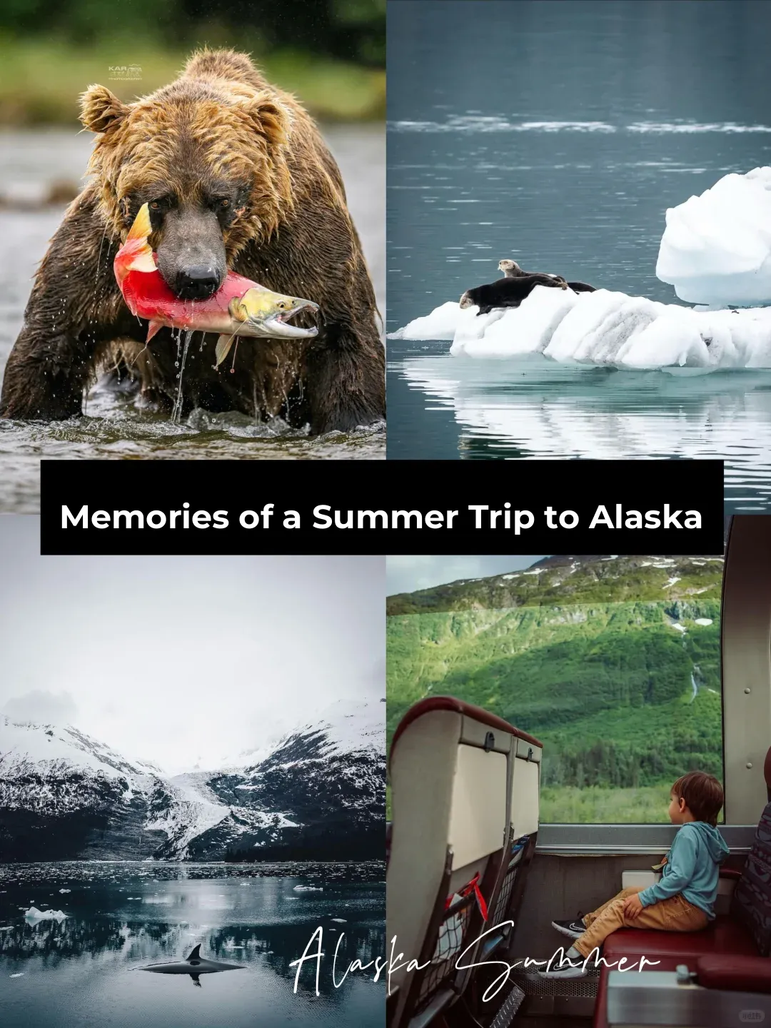 Summer in Alaska: Pushing the Boundaries of Your Imagination