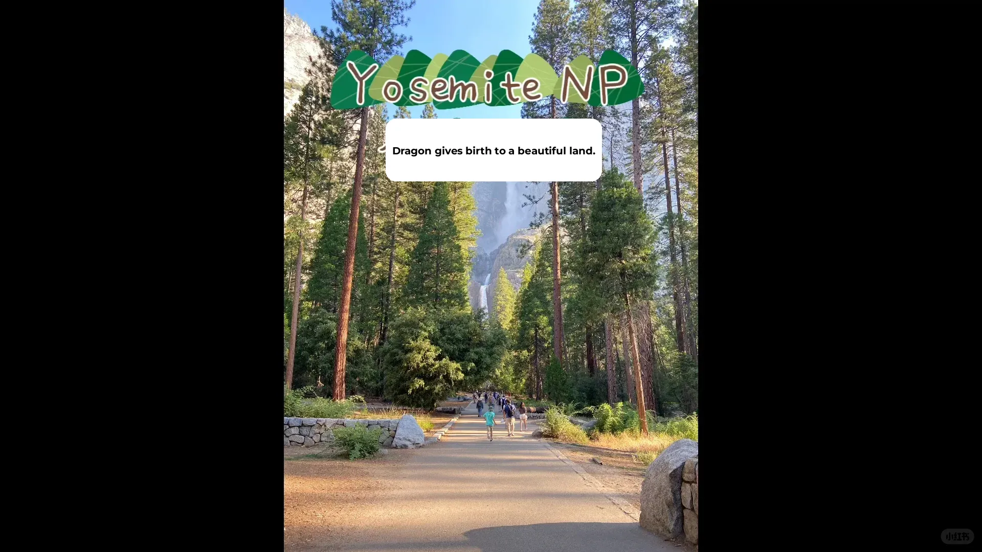 Yosemite National Park 🏜️ Yosemite NP