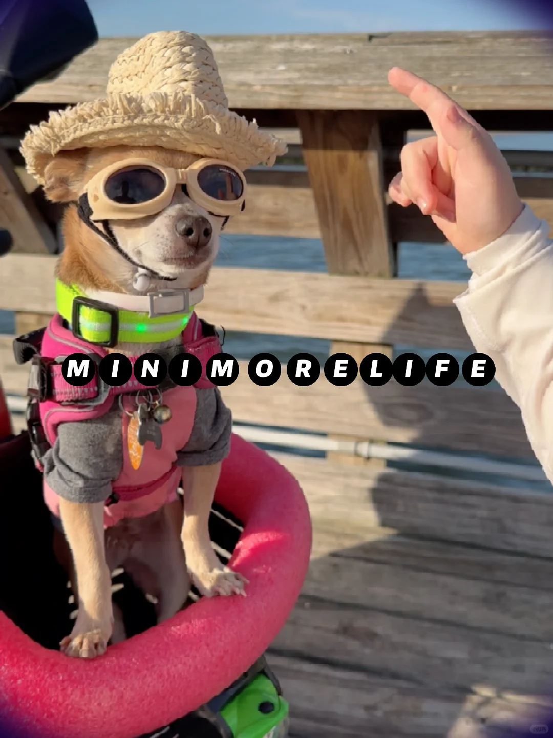 Strolling Along the Houston Coastline