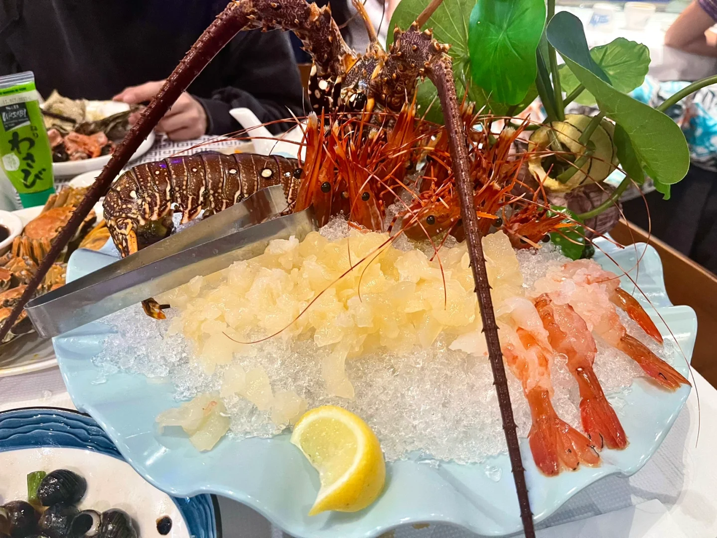 New York｜How Can a Shop Like This Exist!!!