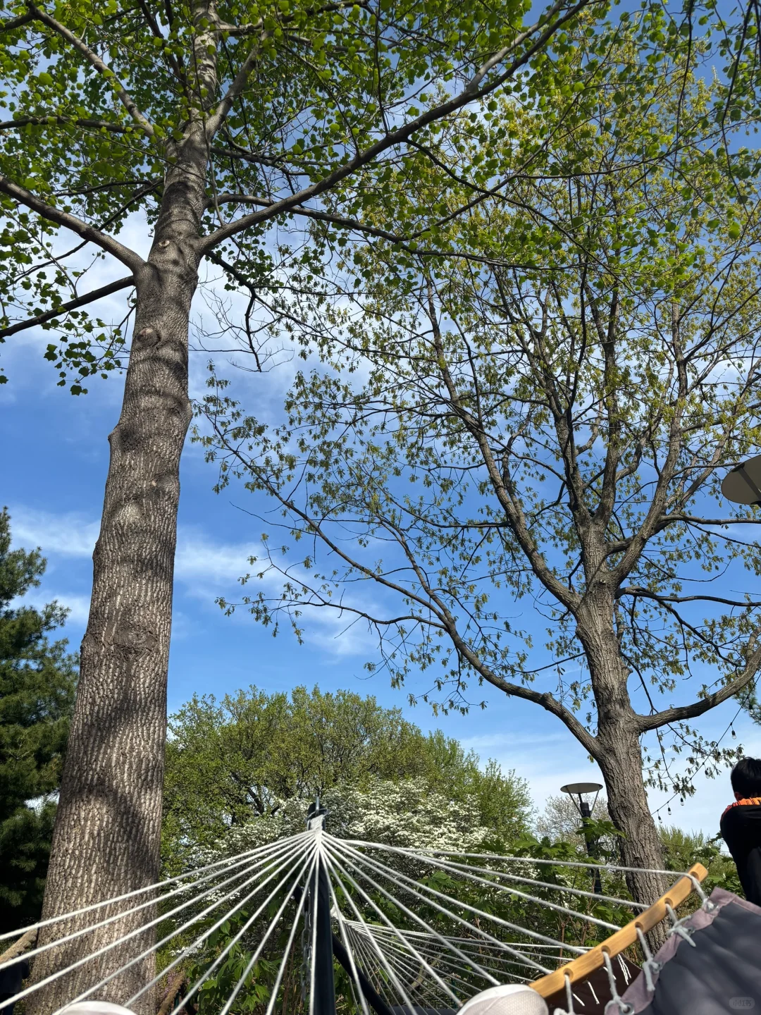 Great Spring Break Getaway for Massachusetts Families – Philadelphia – Day 1 & 2