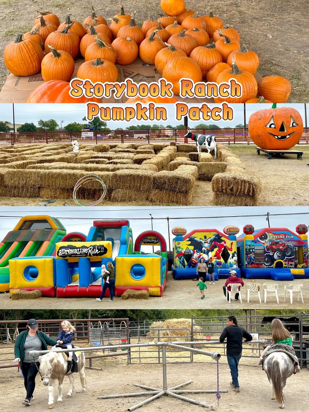 "Dallas·Family Outing: A Nearby and Charming Pumpkin Patch"
