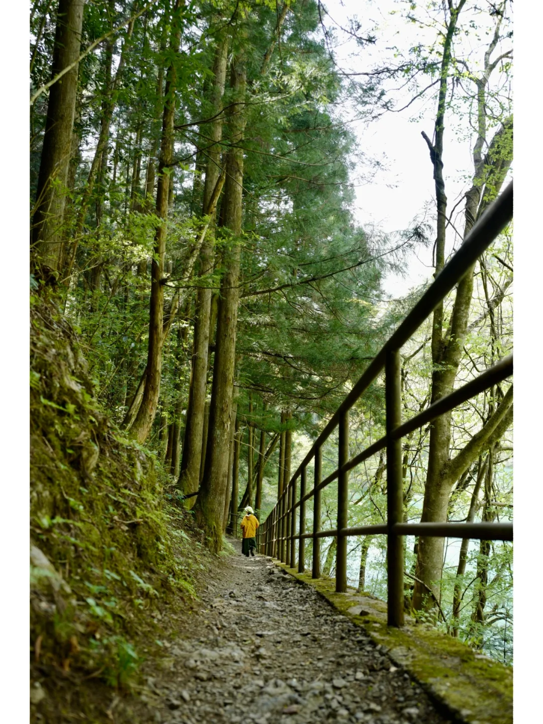 Tokyo Day Trip Hiking | Okutama Easy 5km✓