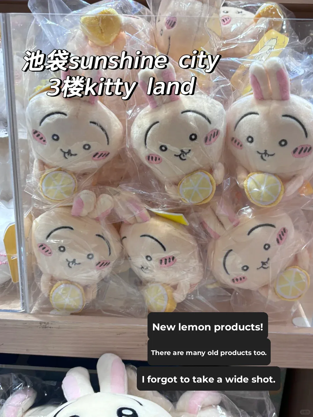 Tokyo Chiikawa & Snack Hunting Guide!