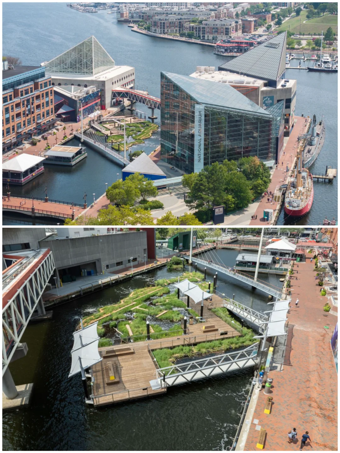 The Floating Harbor Wetland Park Finally Opens in 2024