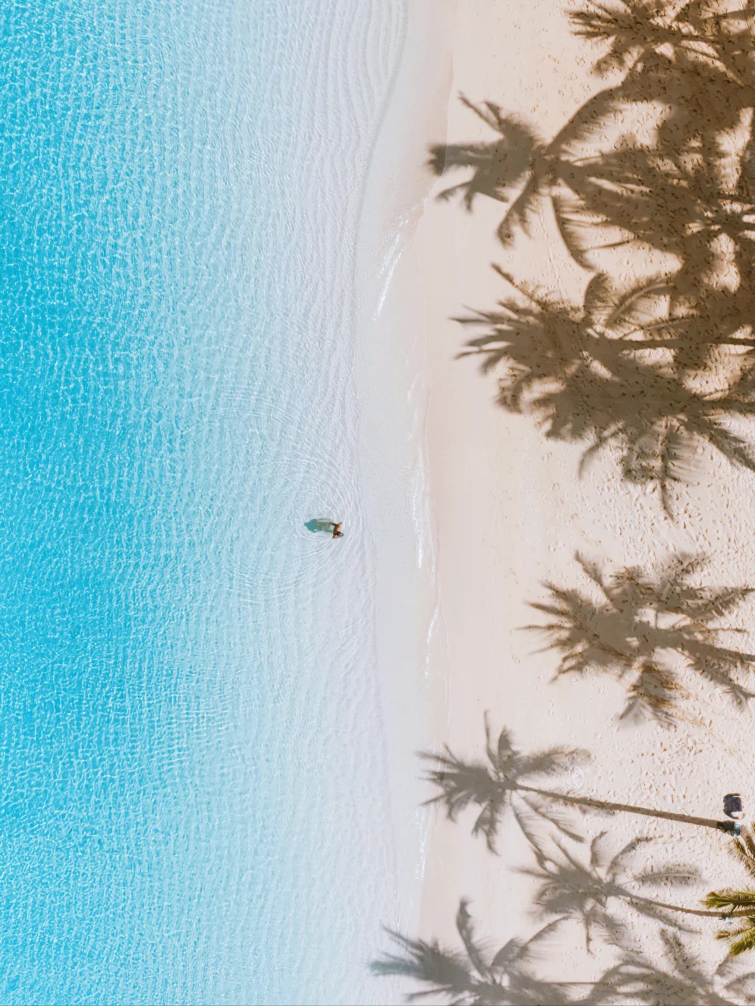 10-Day In-Depth Hawaii Adventure | Essential Itinerary for Lunar New Year Getaway ‼️